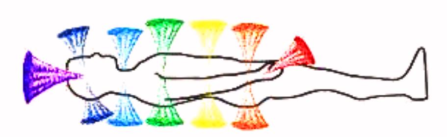The Language of the Chakras – Enhance Your Wellbeing