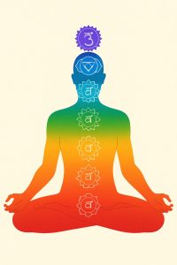 the chakras