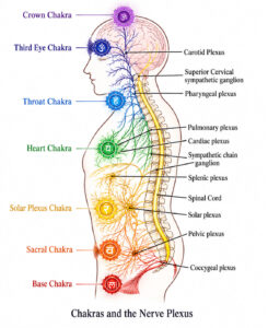 What are Chakras?