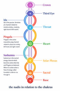Chakras and the nadis